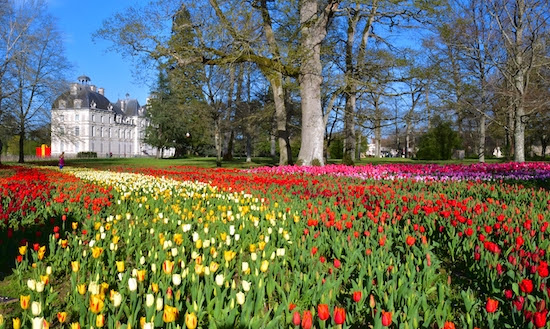 Visite Château de Cheverny Jardin des Tulipes –  Jeudi 2 avril 2026