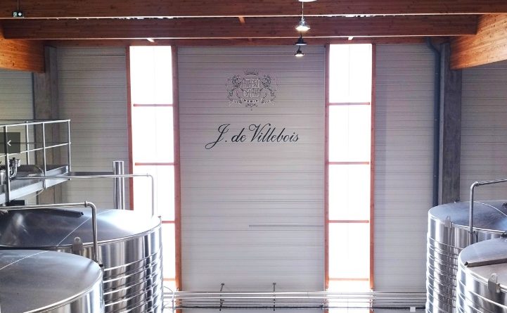 Il Sauvignon secondo J. de Villebois: eccellenza, nuove sfide e un accento italiano